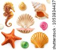 seashell clip art