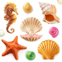 Shell, Snail, Mollusk, Starfish, Sea Horse. 3d Vector Icon Set