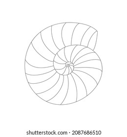 shell  spiral outline vector illustration 