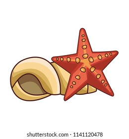 Shell and star sea