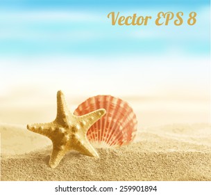 Shell and starfish on sandy beach vector illustration EPS 8.