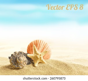 Concha e estrela-do-mar em praia arenosa vetor ilustração EPS 8.
