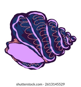 Shell in stylized technique. Marine world, shell texture, pencil marker strokes. Vector element
