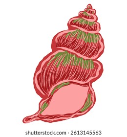 Shell in stylized technique. Marine world, shell texture, pencil marker strokes. Vector element