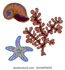 Shell in stylized technique. Marine world, shell texture, pencil marker strokes. Vector element	
