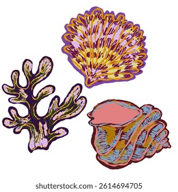 Shell in stylized technique. Marine world, shell texture, pencil marker strokes. Vector element	
