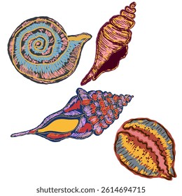 Shell in stylized technique. Marine world, shell texture, pencil marker strokes. Vector element	
