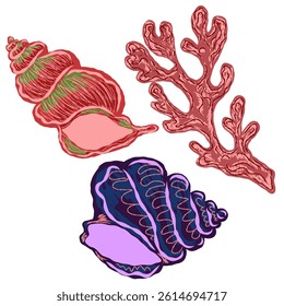 Shell in stylized technique. Marine world, shell texture, pencil marker strokes. Vector element	
