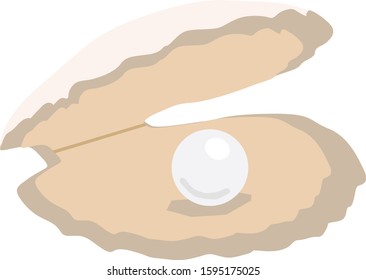 Shell that produces beautiful pearl.