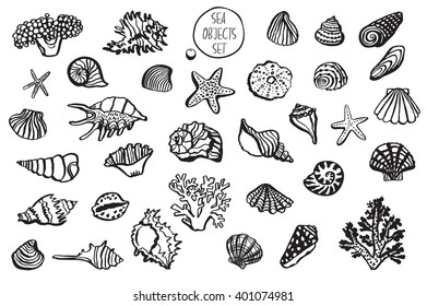 shell undersea world vector hand drawing set