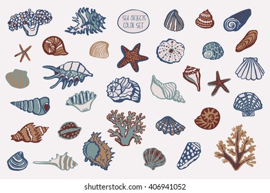 shell undersea world vector hand drawing set