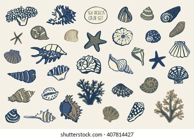 shell undersea world vector hand drawing set