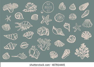 shell undersea world vector hand drawing set