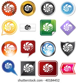 shell variety set isolated on a white background.