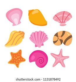 shell vector collection design