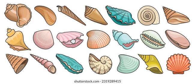 Shell vector color set icon. Vector illustration set shell sea. Isolated color icon seashell on white background .