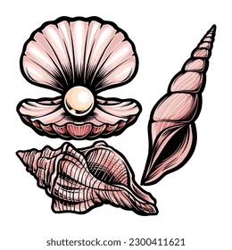 Shell Vector with Full Colors