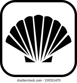 Shell vector icon isolated 