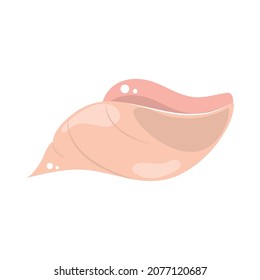 shell vector icon white background