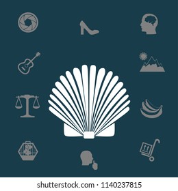 Shell vector illustration