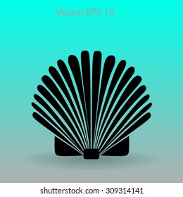 Shell vector illustration