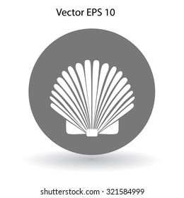 Shell vector illustration