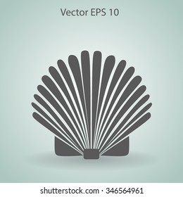 Shell vector illustration