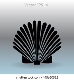 Shell vector illustration