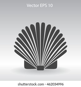 Shell vector illustration