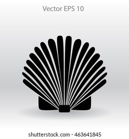 Shell vector illustration