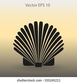 Shell vector illustration