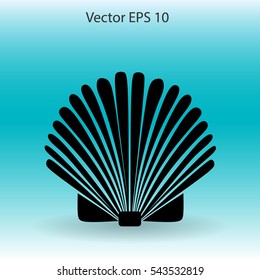 Shell vector illustration