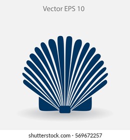 Shell vector illustration