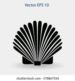 Shell vector illustration