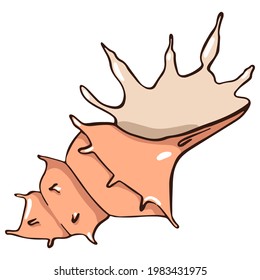 Shell. Vector illustration in cartoon style. Can be used as stickers, decals, to decorate children's rooms. Isolated on white background