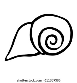 shell. vector illustration. Drawing by hand