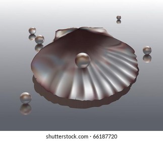 Shell. The vector illustration of  shell with pearls on glass.