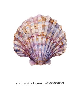 shell vector illustration in watercolor style