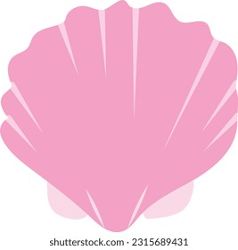 Shell Vector image or clipart