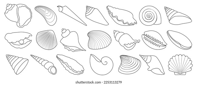 Shell vector outline set icon. Vector illustration set shell sea. Isolated outline icon seashell on white background .