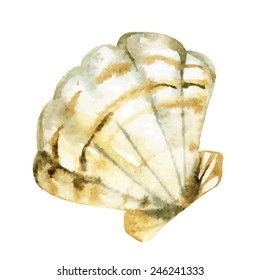 Shell watercolor illustration. Hand drawn sketch