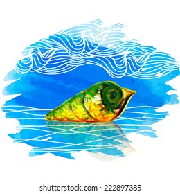 Shell. Watercolor vector sketch.