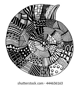 Shell, zentangle patterned seashell, black and white page for adult colouring book, doodle vector design
