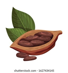 Shelled Cocoa Pod with Beans Inside Realistic Vector Illustration