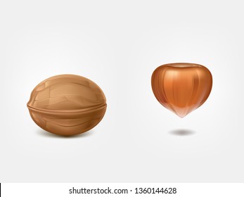 Shelled walnut and raw hazelnut 3d realistic vectors isolated on white background. Confectionery, diet, organic food and culinary natural ingredient illustration. Source of vitamins, fatty acids, oil