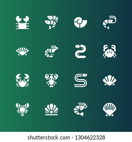 shellfish icon set. Collection of 16 filled shellfish icons included Shell, Shrimp, Pearl, Lobster, Scallop, Eel, Crab, Prawn, Seashell, Shrimps