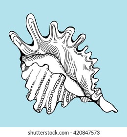 Shellfish. Line art. Black and white drawing by hand. Decorative. 