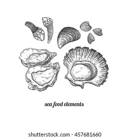 Shellfish, mussels, scallops, oysters, barnacles. Seafood. Vector illustration. Isolated image on white background. Vintage style. Hand drawn black ink image.