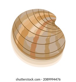 Shellfish, mussels, seafood isolated on a white background. Drawing of seafood delicacy. Vector illustration