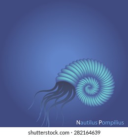 Shellfish nautilus pompilius in ocean background, Vector illustration with volume shell